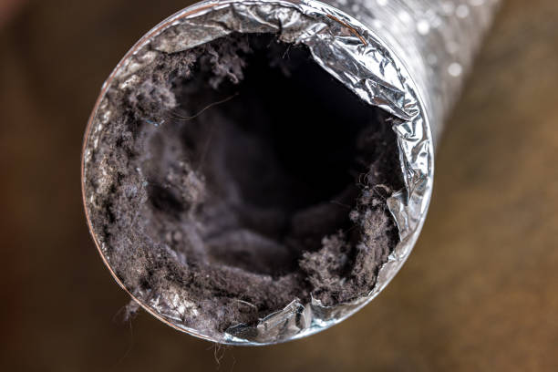 Best HVAC Maintenance and Cleaning  in Limestone, IL