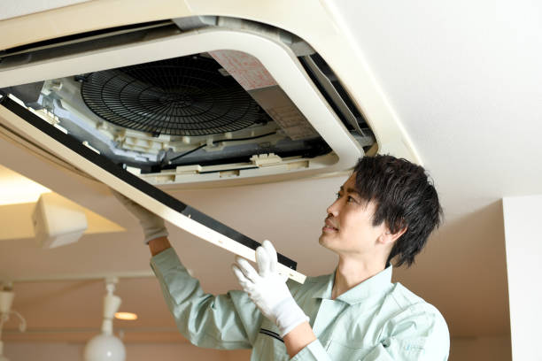 Best Affordable Duct Cleaning Services  in Limestone, IL