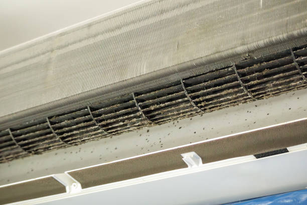 Best Home Air Vent Cleaning  in Limestone, IL