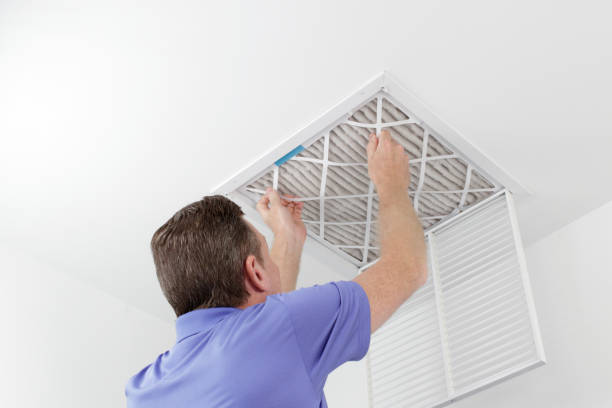 Best Ductwork Cleaning Services  in Limestone, IL